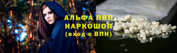 шишки Новодвинск