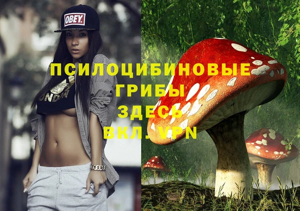 ешки Алзамай