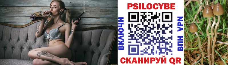 сайты даркнета как зайти  Ессентукская  Галлюциногенные грибы мухоморы  цена наркотик 